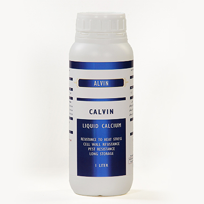 calcium calvin intro